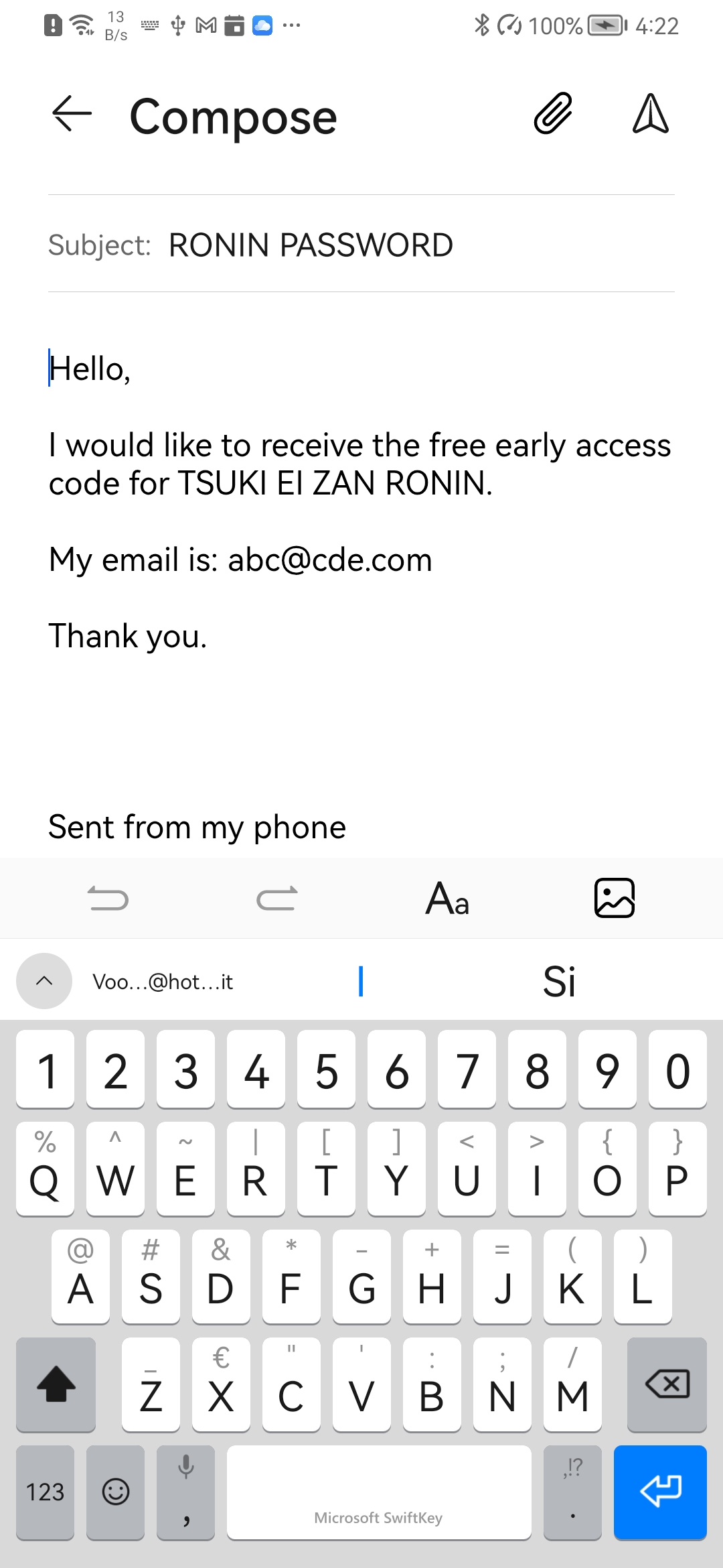 RONIN password request email with inserted email